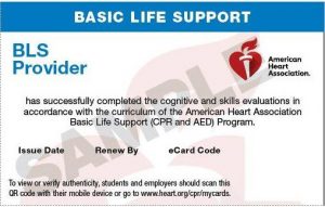 BLS Provider CPR classes held by Texas CPR